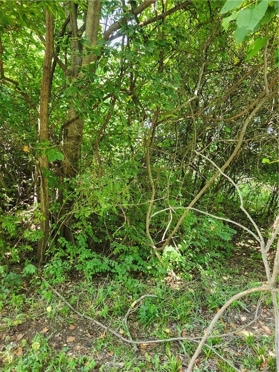 Listing Photo MLS #HMS2633562