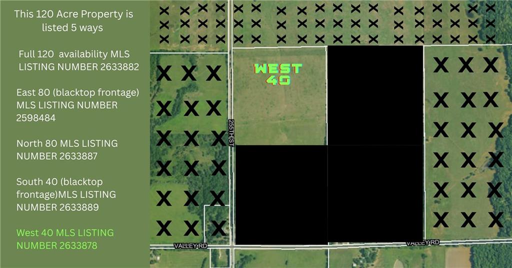Listing Photo MLS #HMS2633878