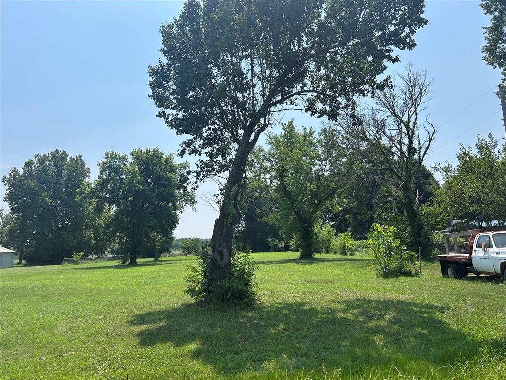 Listing Photo MLS #HMS2633929