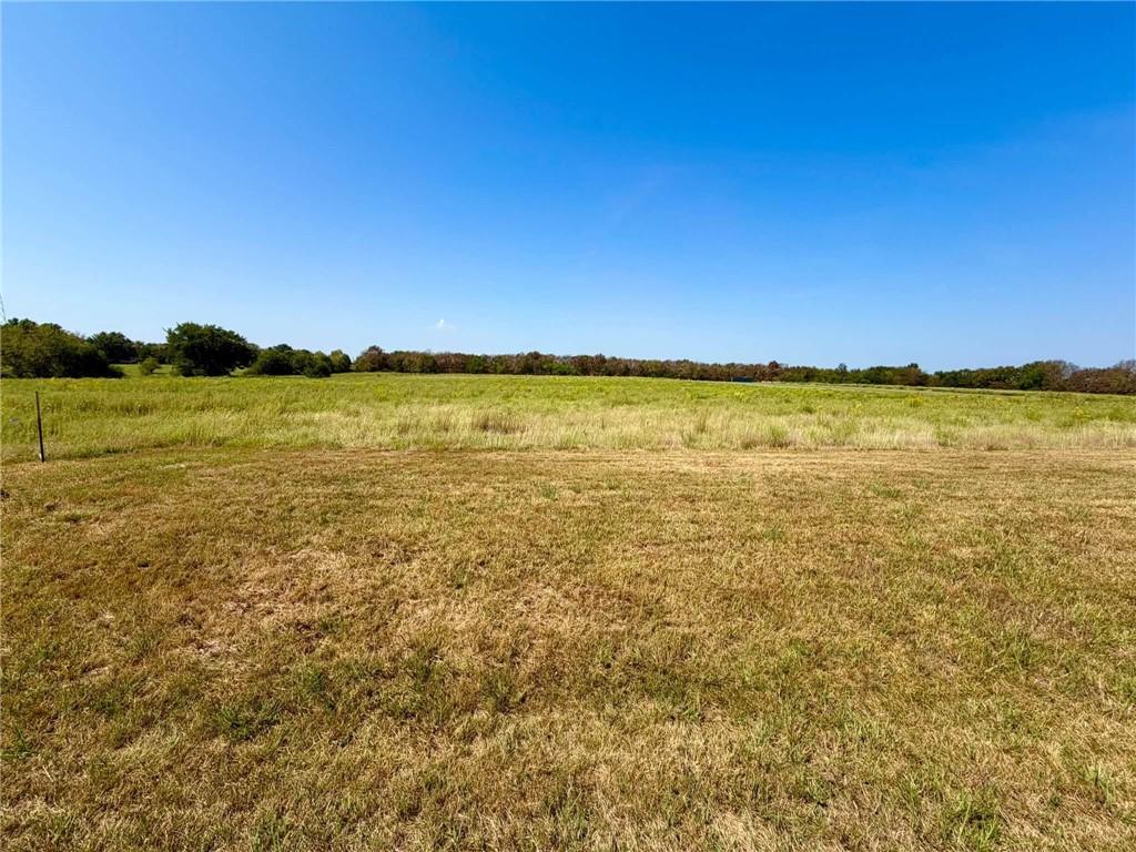 Listing Photo MLS #HMS2634213