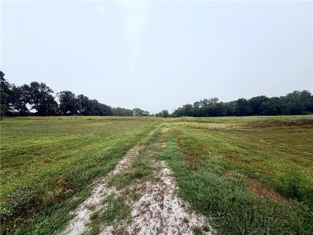 Listing Photo MLS #HMS2634220