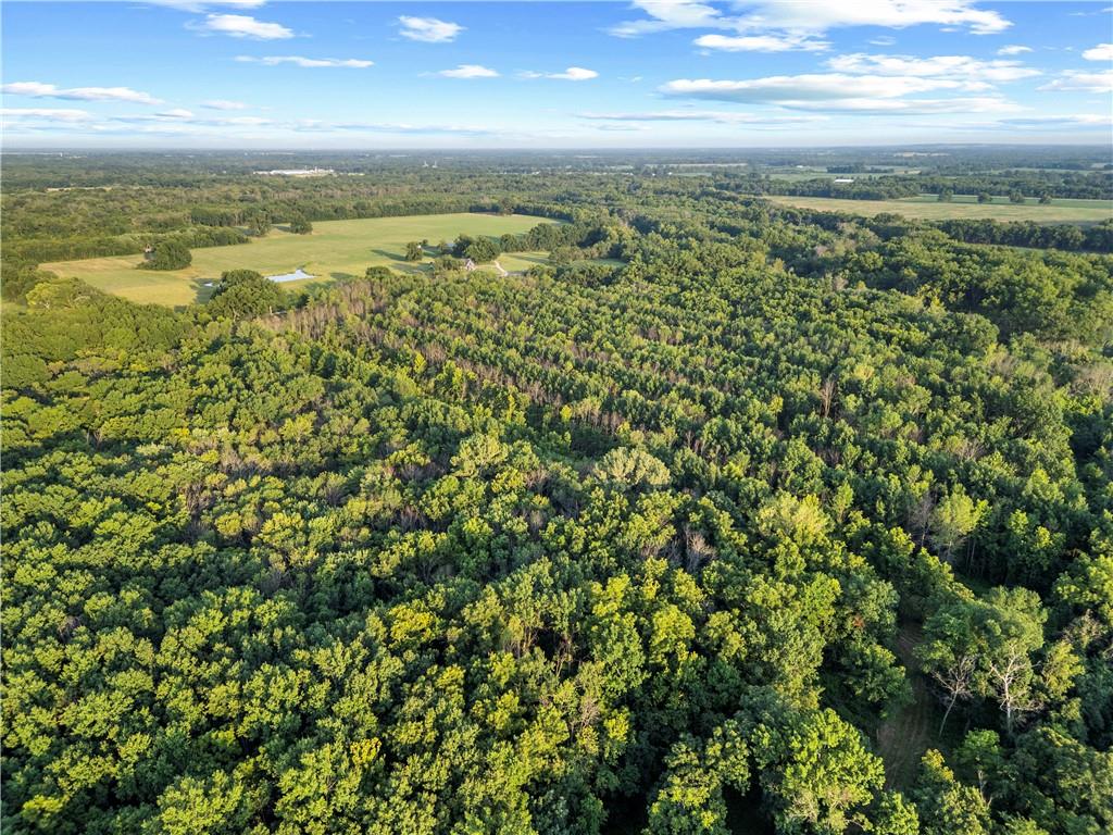 Listing Photo MLS #HMS2634262