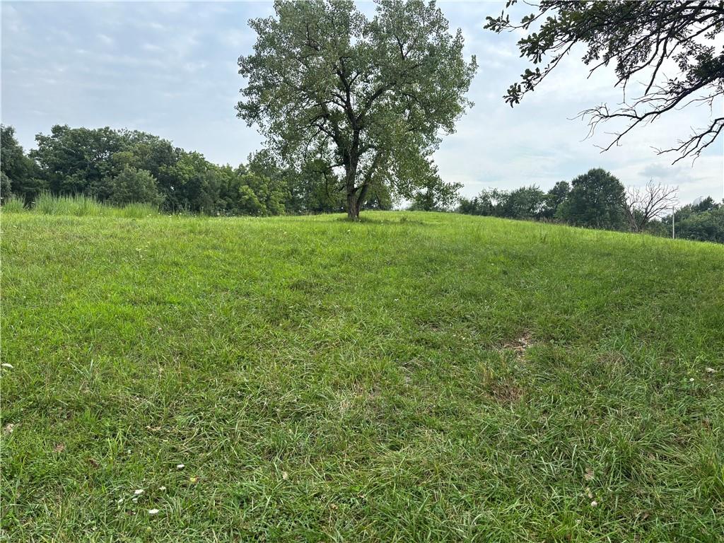 Listing Photo MLS #HMS2634302