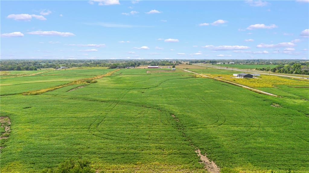 Listing Photo MLS #HMS2634442