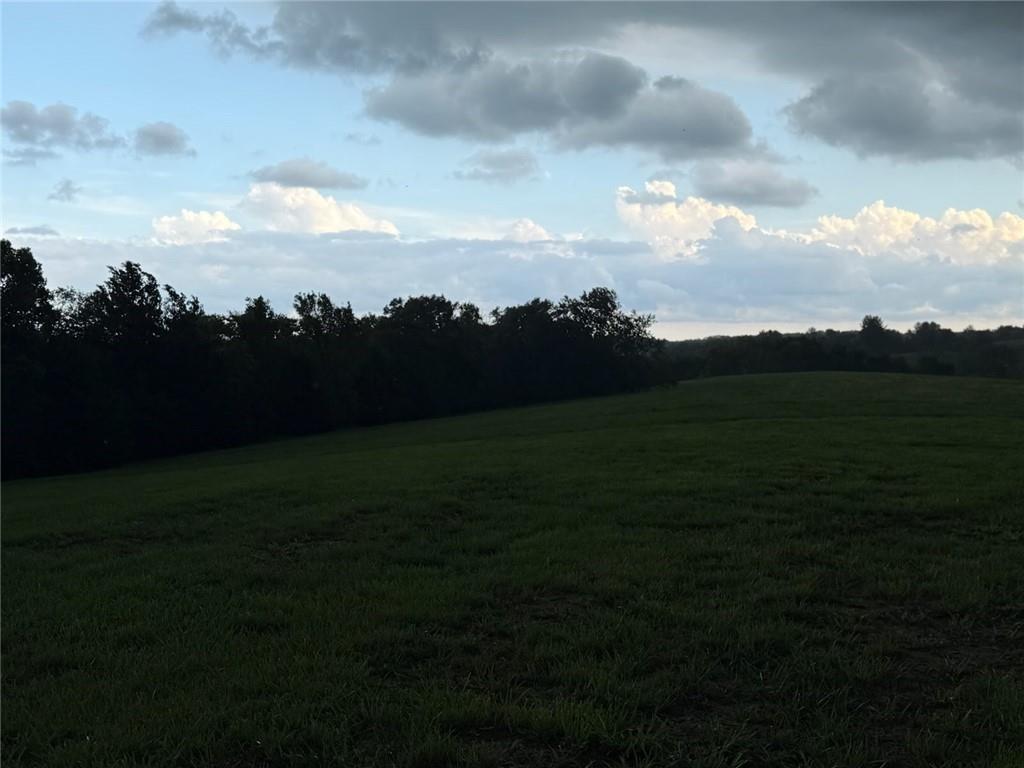 Listing Photo MLS #HMS2637743