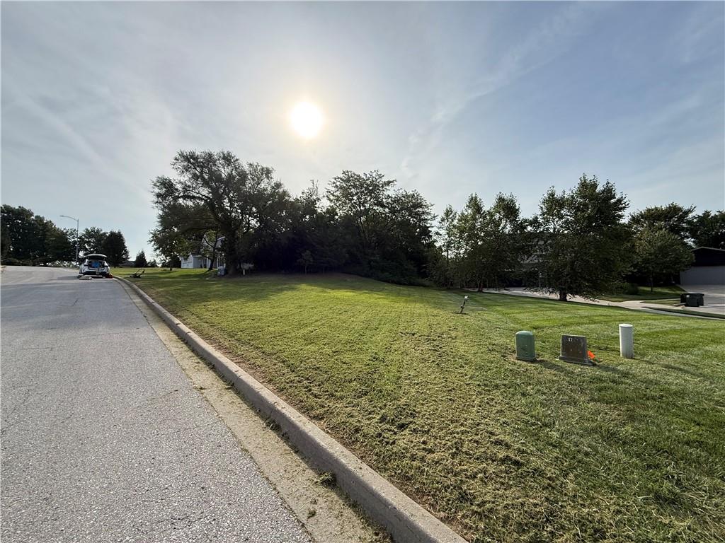 Listing Photo MLS #HMS2639357