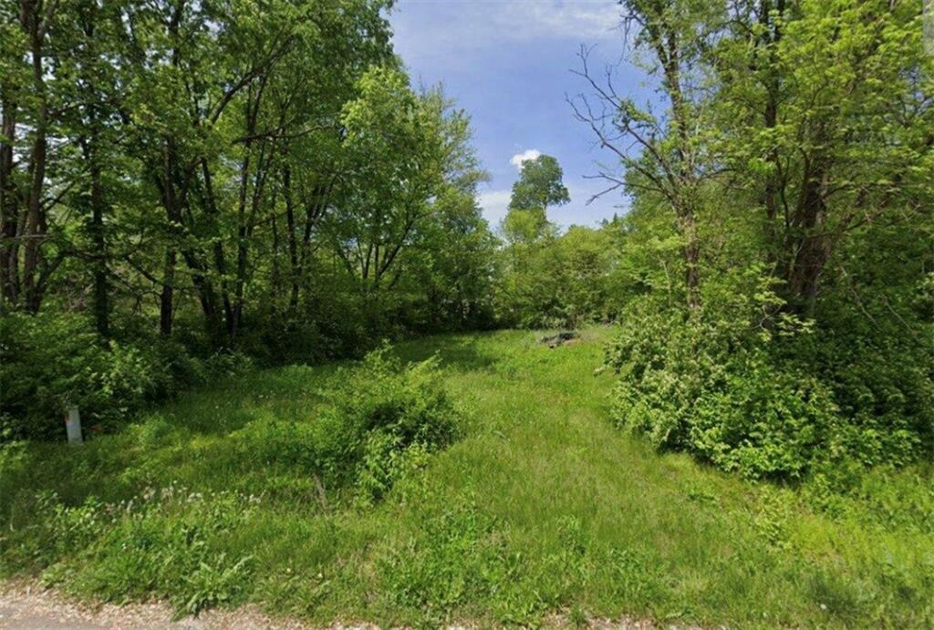 Listing Photo MLS #HMS2639805