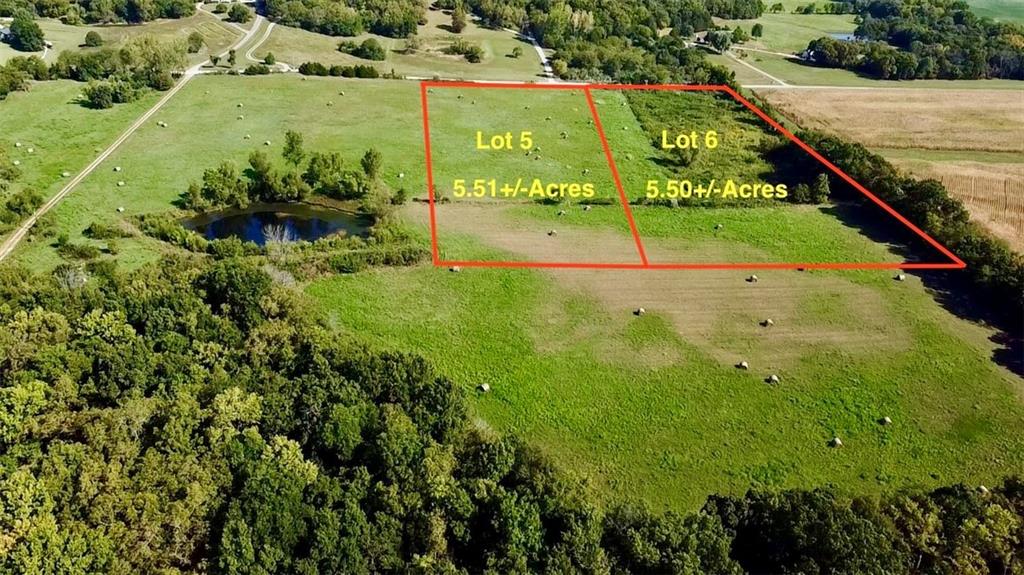 Listing Photo MLS #HMS2641537