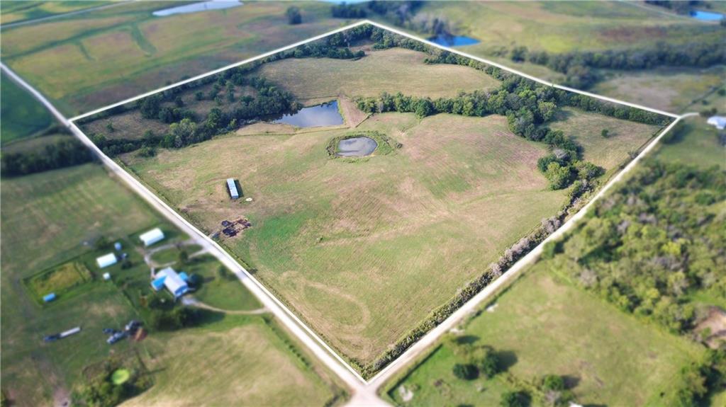 Listing Photo MLS #HMS2642559