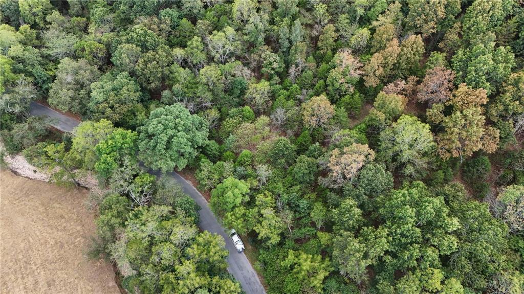Listing Photo MLS #HMS2642862