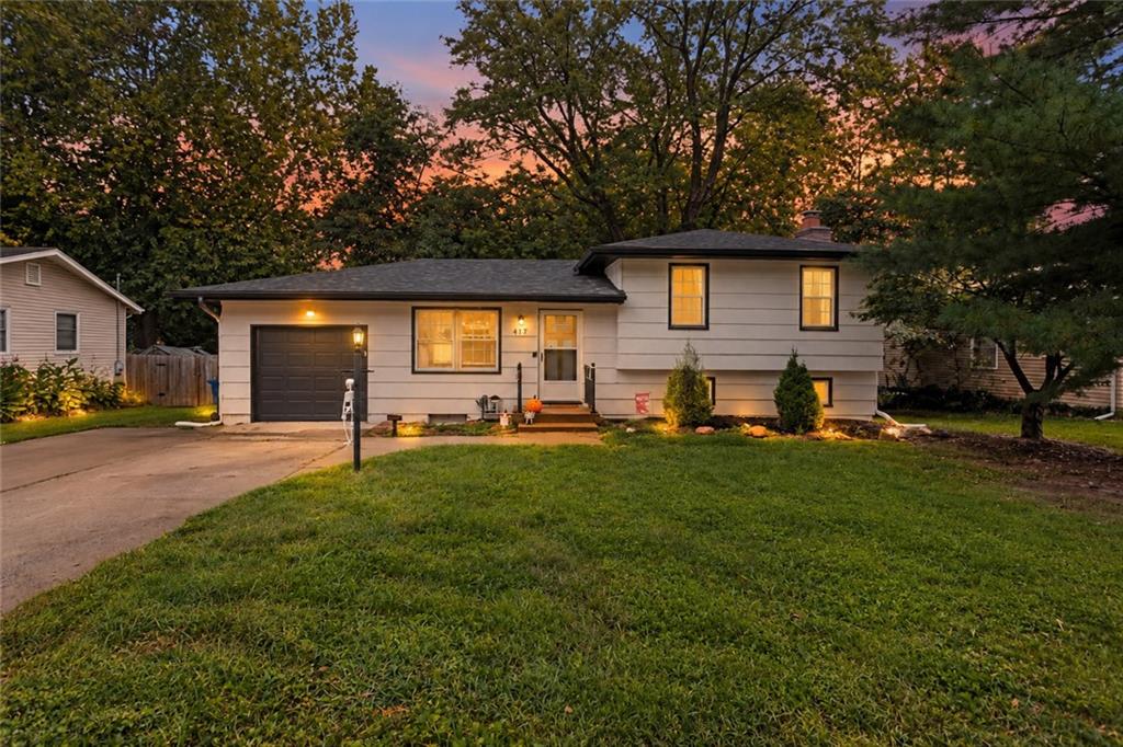 Listing Photo MLS #HMS2643924