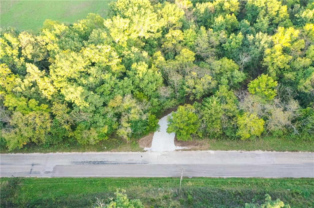Listing Photo MLS #HMS2645278