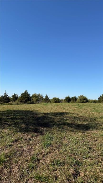 Listing Photo MLS #HMS2646420