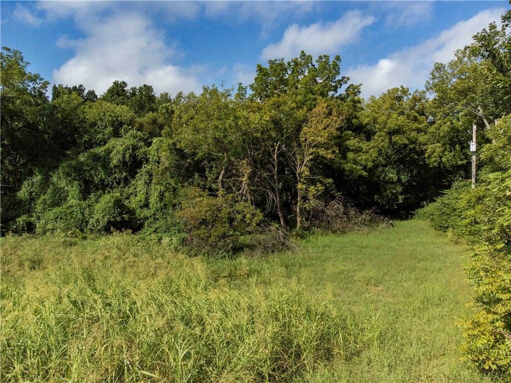 Listing Photo MLS #HMS2647070