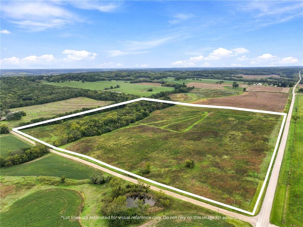 Listing Photo MLS #HMS2647190