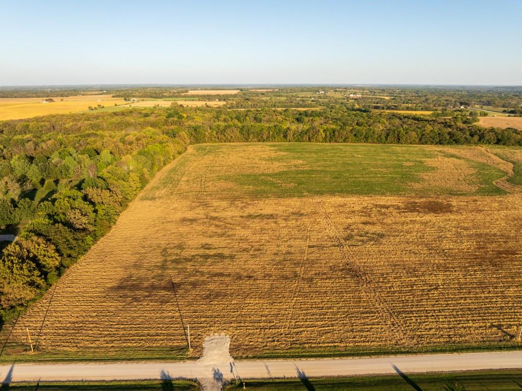 Listing Photo MLS #HMS2647511