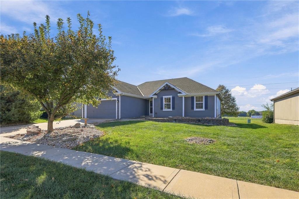 Listing Photo MLS #HMS2647785