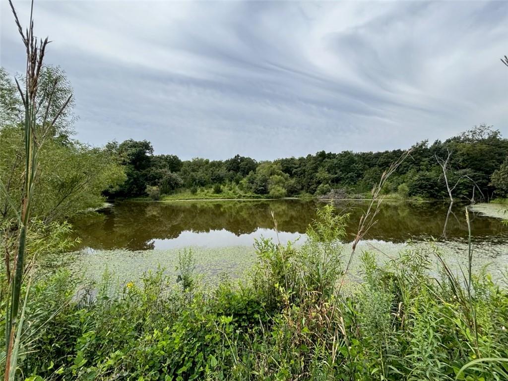 Listing Photo MLS #HMS2648388